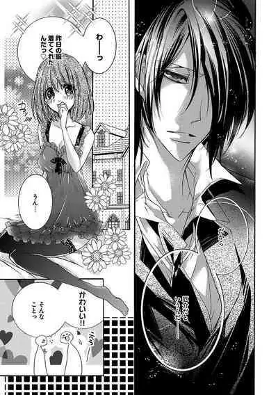 鬼畜兄弟の悶絶調教~私はいいなり奴隷~