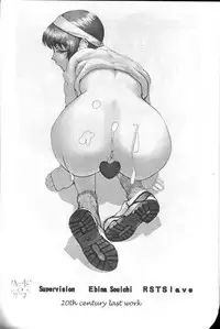 (C59) [RST Slave (Ebina Souichi)] Kasumi Hard Love (Dead or Alive)