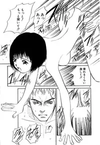 [Armadillo] Neko no Yurikago