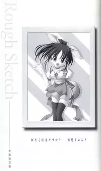 SUIKA Official Visual Fan Book