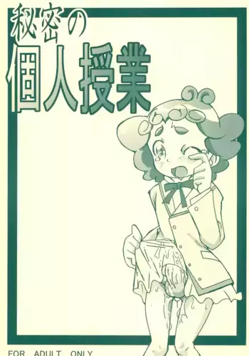 (Princess Festa 3) [Gorotaishi (Gorohati)] Himitsu no Kojin Jugyou (Fushigiboshi no Futago Hime)