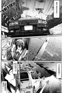 [Alexi Laiho] Seiippai Gohoushi Maid [Chinese]