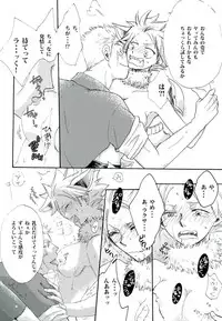 (C89) [Ohtohcan (Mitsukan)] Yoiyami no Hoshi (FAIRY TAIL)