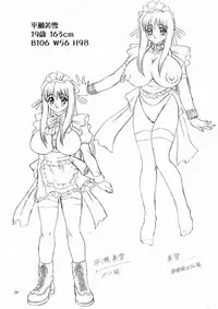 (C63) [Narimasuya (Akiba Wataru)] DOLLS DIARY 5