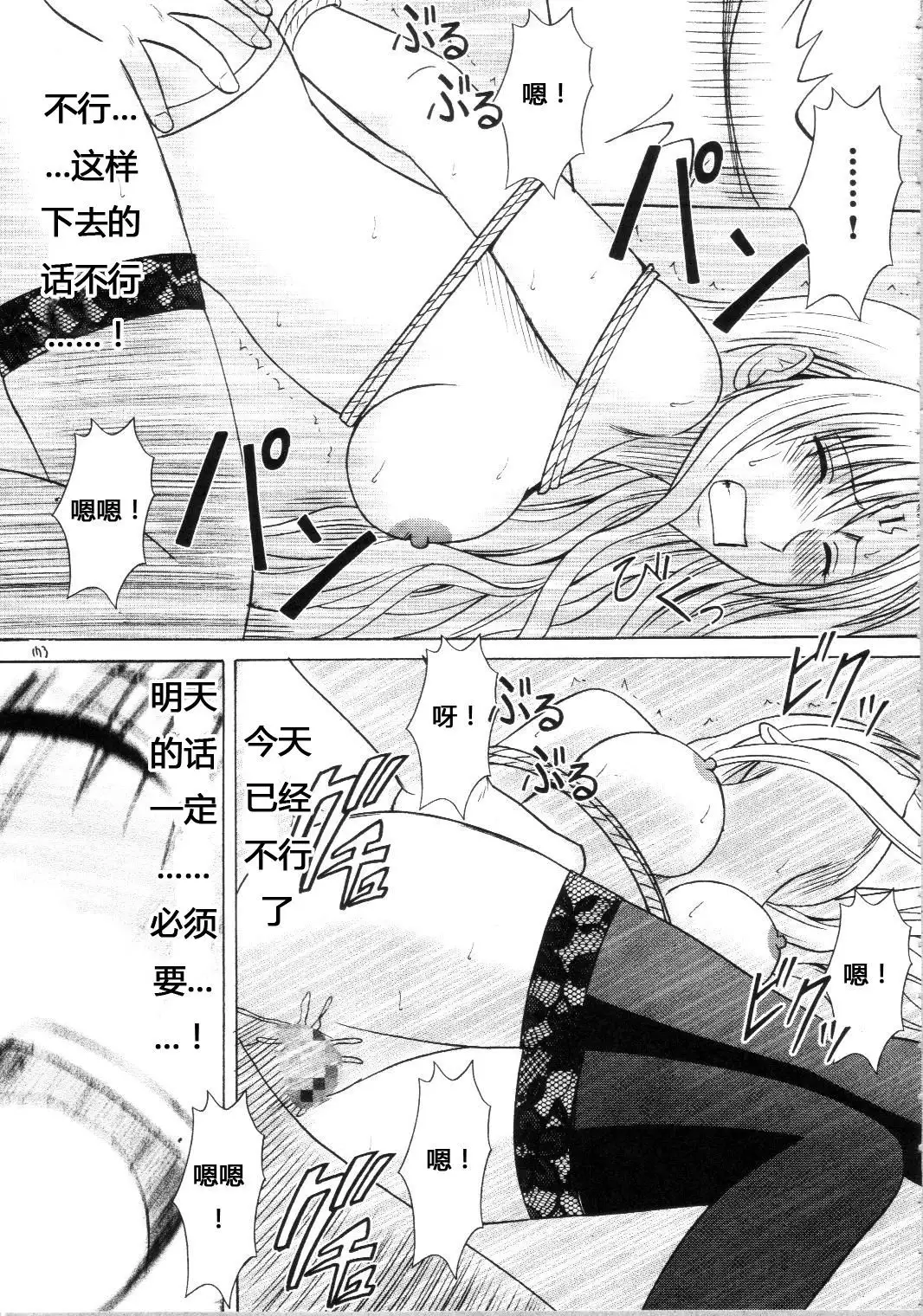 Sephiria Hard Soushuuhen