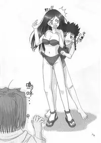 (CR37) [Kensoh Ogawa (Fukudahda, mizu)] Amai Himegoto Nikaime (Mai-HiME)