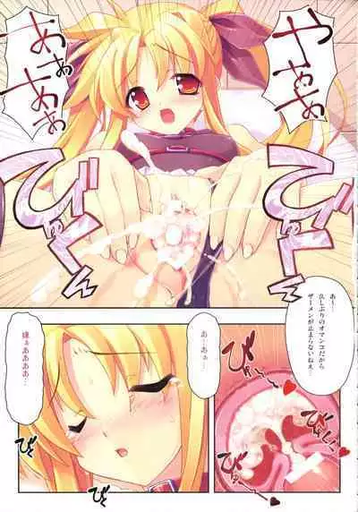 Kanzen Choukyou Fate Shiki