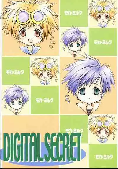 Digital Secret