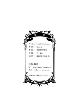 (C95) [Memoria (Tilm)] Princess is Seeking Unknown (Granblue Fantasy)