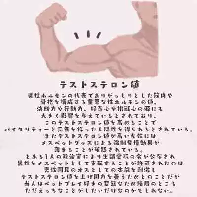 Mesu Pet Series Sekaikan