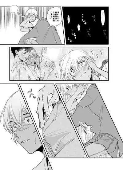 Wataridori no Takarabako