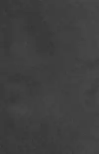 (FF30) [Bear Hand (Fishine, Ireading)] OVERTIME!! OVERWATCH FANBOOK VOL. 2 (Overwatch) [Chinese]