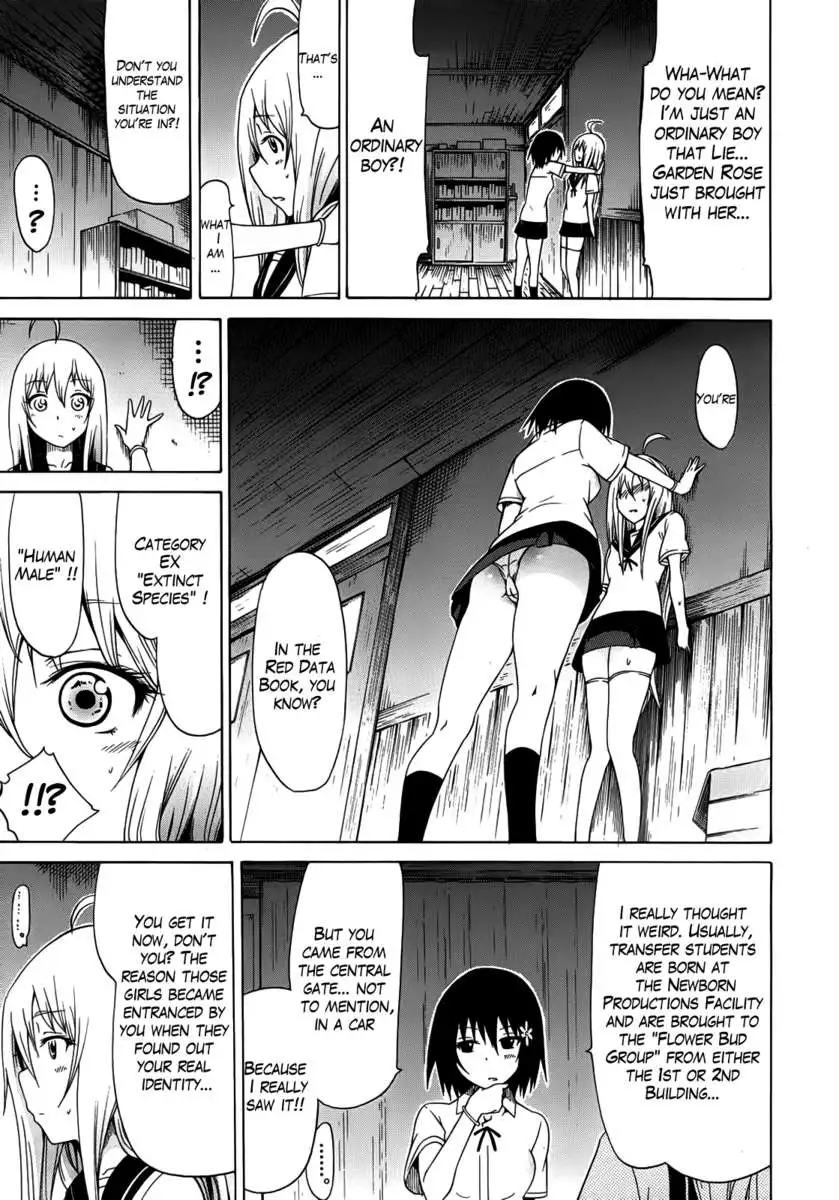 The Beautiful Girls Club Vol.1