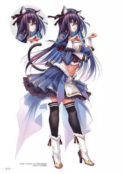 Amakano 2+ Visual Fan Book