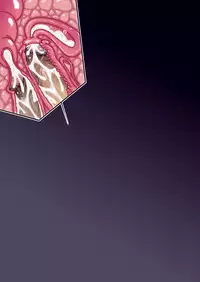 [Studio Mizuyokan (Higashitotsuka Rai Suta)] Heartcatch Mirage (HappinessCharge Precure!) [Digital]