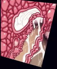 [Studio Mizuyokan (Higashitotsuka Rai Suta)] HAPPINESS SLAVES DL (HappinessCharge PreCure!) [Digital]