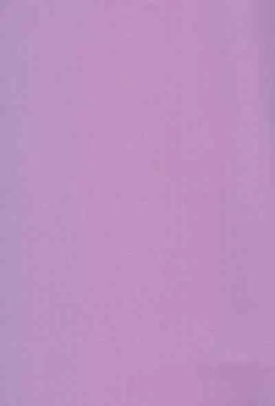 Saidaikyuu no Munasawagi