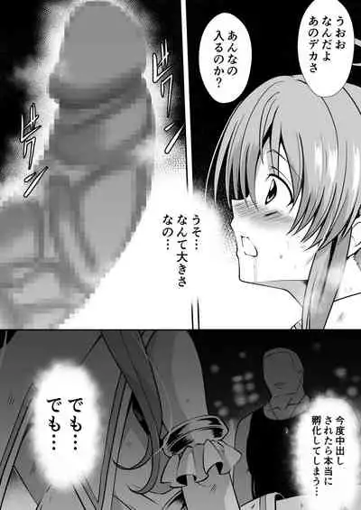 爛光天使リュミエール~魔獣の卵を孕まされ見知らぬ男達に輪姦された少女の末路~