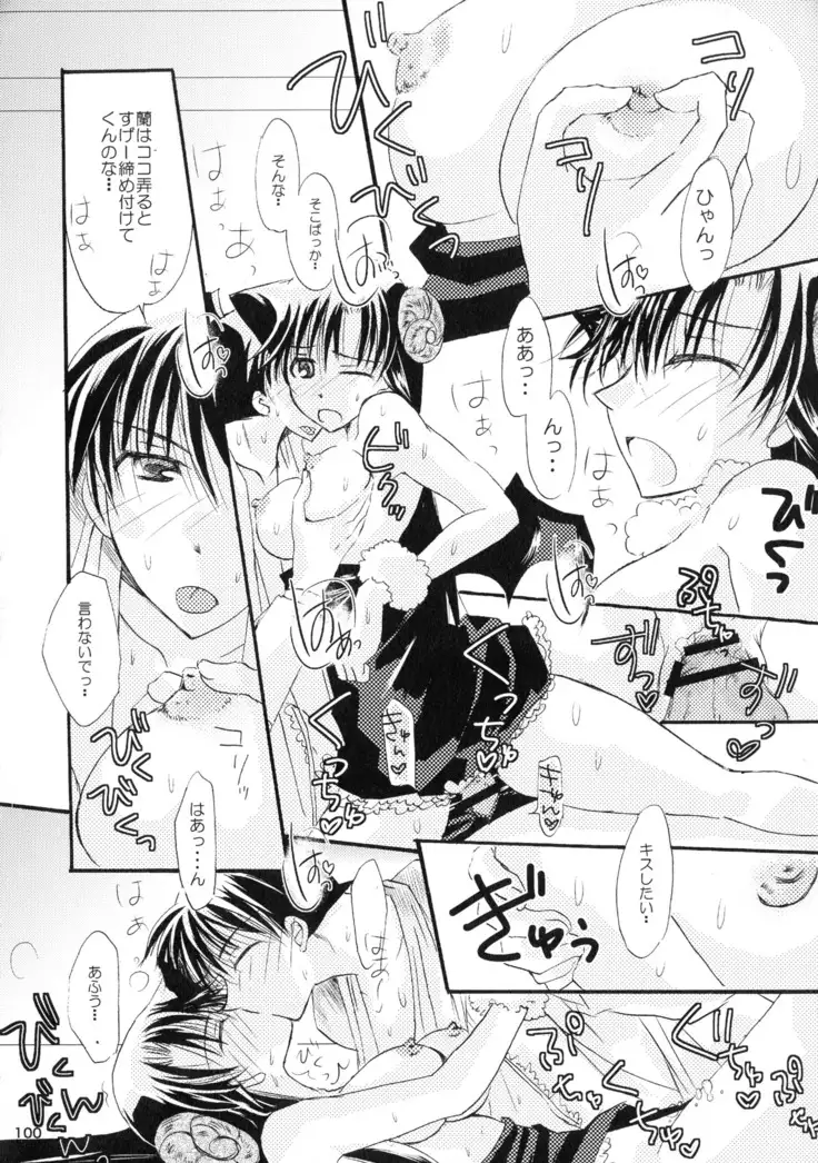 MACARON-CHOCOLAT-DOLCE