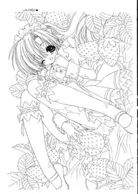 [Senzankou] Ramiya Ryou Illustration Gengashuu 5