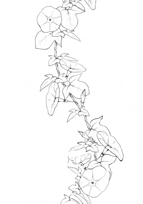 Ane Naru Mono 5 | An Elder Sister 5