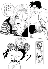 (C47) [Chirigami Goya, Fusuma Goten (Shouji Haruzo)] YY (Dragon Ball Z)