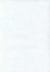 [Paradise City (Various)] AsuRei (Neon Genesis Evangelion)