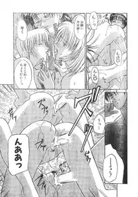 Men's Dolphin 2000-11 Vol. 15