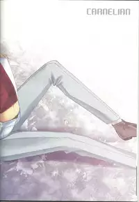 (SUPER20) [CARNELIAN] Suki na Mono o Suki na Dake (Star Driver)