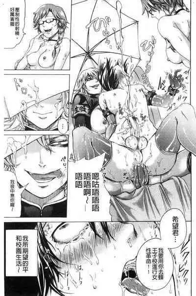 hasebe souutsu collection