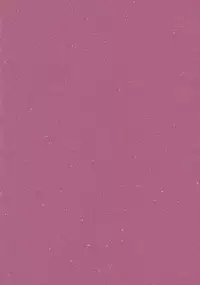 (C82) [241 Inc. (Fujii Jun)] Watashitachi ni Omakase wo! (Touhou Project)