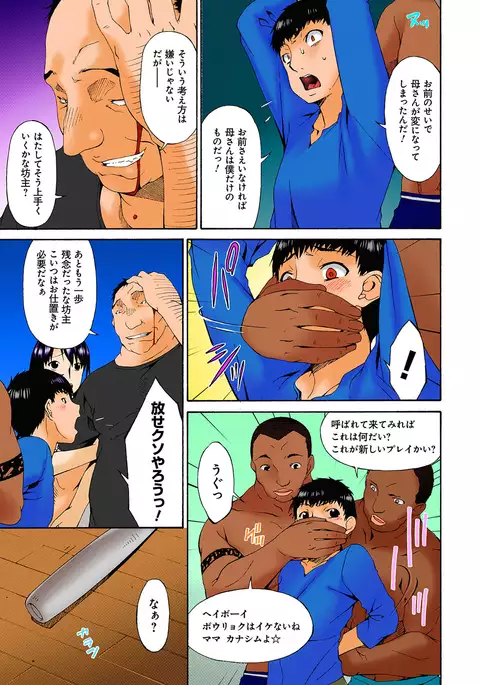 Hametorare full color