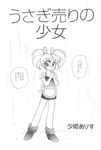 (CR14) [Shunran (Yuuki Alice)] Chibiusa Aijouhen (Bishoujo Senshi Sailor Moon R)