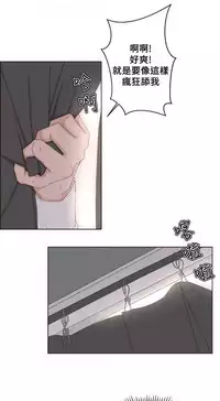 私生,爱到疯狂 完结