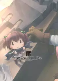 (C89) [Sui-en (Sui-en)] WALNUT78 7th (Kantai Collection -KanColle-)