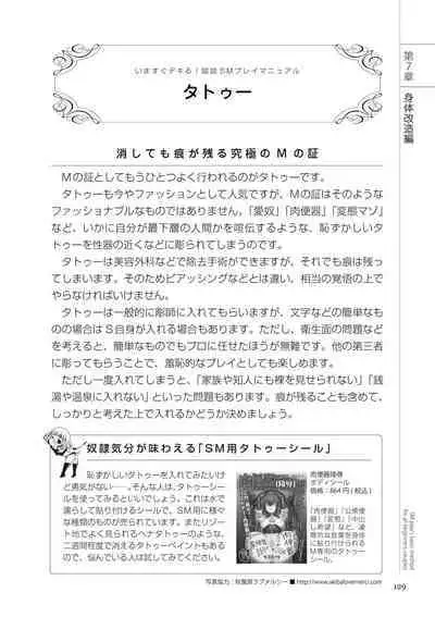 いますぐデキる 図説SMプレイマニュアル