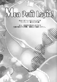 (USA5) [Frenzy (Ichi)] Mon Petit Lapin! (Axis Powers Hetalia) [English]