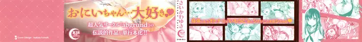 IMOUTO COLLECTION H ~Special Edition~
