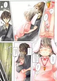 (Reitaisai 9) [Shirokurousa (Sugiyuu)] Meguri, Meguru. (Touhou Project)