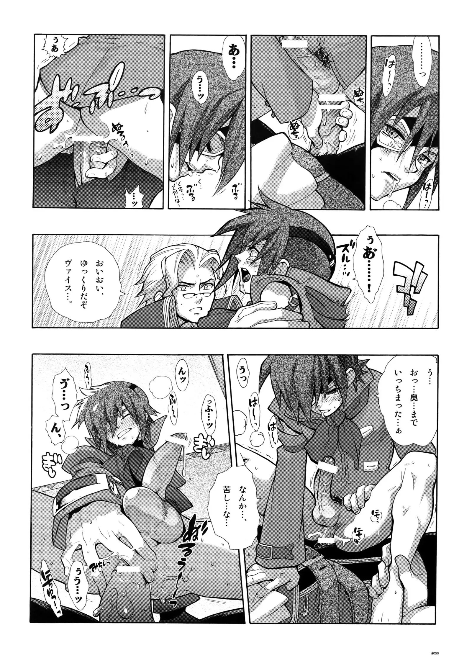 Anthurium.EA01 Shinsouban