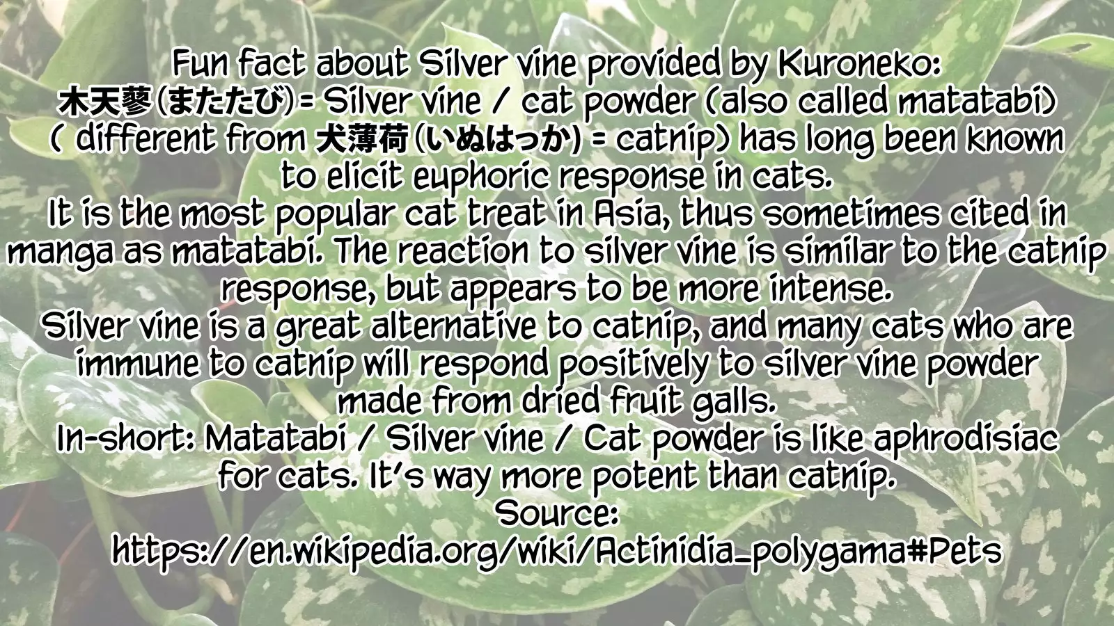 Boy Meets Nyaa God | Boy Meets Cat Goddess Ch. 1-3