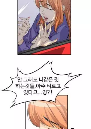 Chauffeur Service Ch.1-30.5