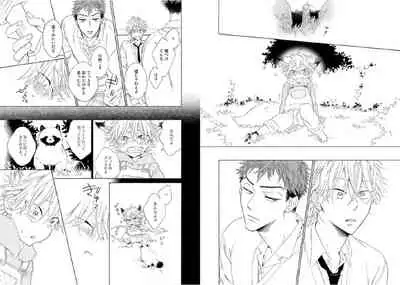 Kitsune-san, Bakashi Aishimasho!