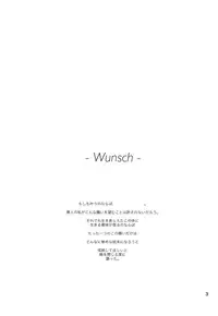 (C85) [HB (Futoo)] Wunsch (Senki Zesshou Symphogear)