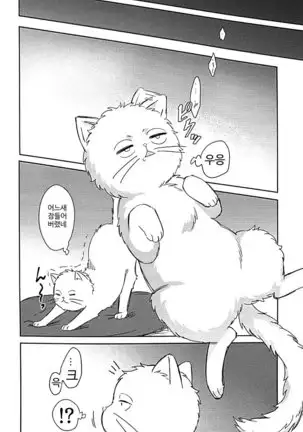 Godfinger Hijikata and magic kiss