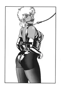 (C56) [ALPS (Ankokudou Shinkaigyo)] Anko Kudou Shinkaigyo Kaiga Senshuu (Various)