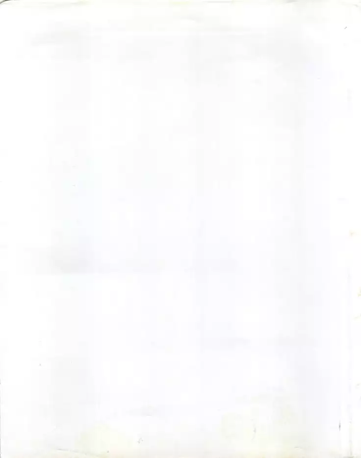 ORANGE GALLERY SAKATA SPECIALl