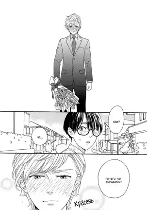 The Daydreamer Falls in Love