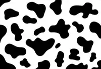 [Kotoyoshi Yumisuke] Shokunyuu 2