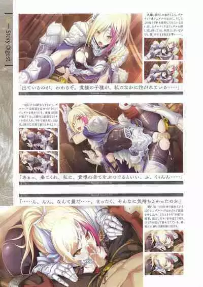 Fuukan no Grasesta Perfect Guidebook